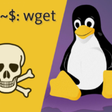 :: wget açıklığı CVE-2014-4877